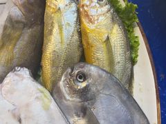 -单家老院·院子里的青岛菜(沙子口店)