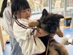 -天使宠物医院·犬猫分诊(彩虹店)