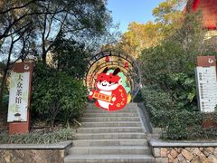 -金鸡山公园