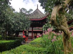 -峨眉山报国寺