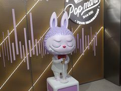 -泡泡玛特POPMART(合生汇店)
