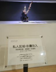 -FANS美甲美睫