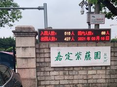 -嘉定紫藤园