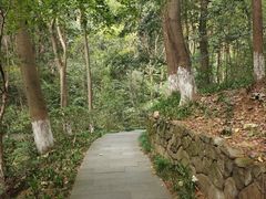 -杭州半山国家森林公园
