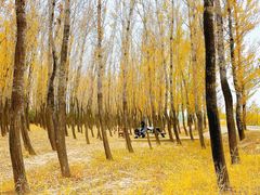 -野鸭湖国家湿地公园