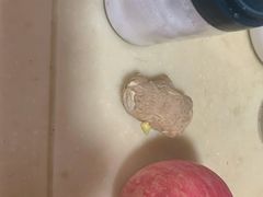 -小杨生煎(金山百联购物中心3楼店)