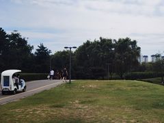 -西安浐灞国家湿地公园