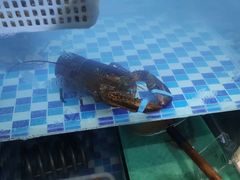 -蔚海之都·象山蒸汽海鲜(仙霞路店)