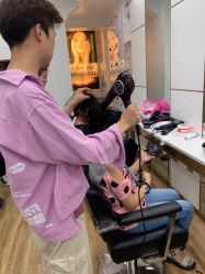 -YESIDO椰岛造型