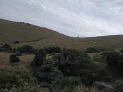 -大姆山草场