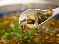 金沙江黄辣丁-金熊猫川菜餐厅