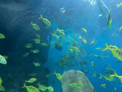 -福州罗源湾海洋世界旅游区