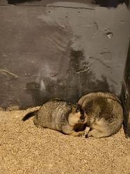 -酷嗒动物文化乐园(cutezoo西溪乐天城店)