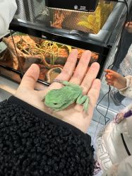 点击看大图 -神奇动物撸宠馆·羊驼·小浣熊·异宠(豫园店)