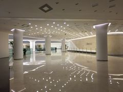 -南京国际青年文化中心