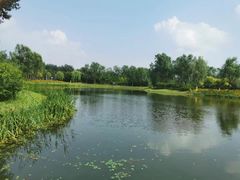 -东郊湿地公园