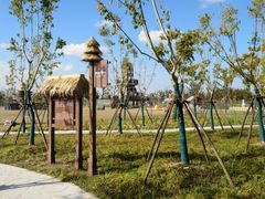 -上海长兴岛郊野公园