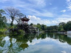-顺峰山公园
