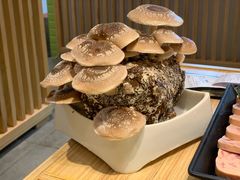 有机松香菇-鲜货俚鲜火锅(青果路店)