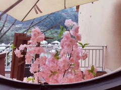 -重庆南山海昌汤都