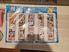 -绒爪撸猫下午茶·猫咖