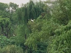 -新江湾城公园