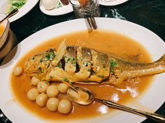 东星斑-甄御•海鲜新青岛菜(麦岛店)