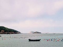 -枸杞岛