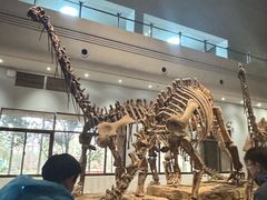 -自贡恐龙博物馆