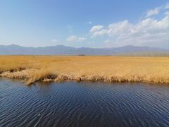 -野鸭湖国家湿地公园