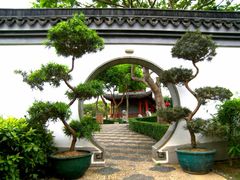 -九龙公园