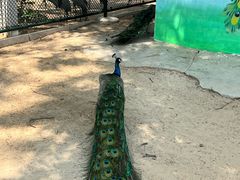 -秦皇岛野生动物园