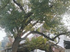 -窑湾古镇