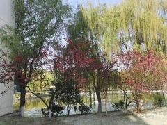 -南京医科大学(江宁校区)