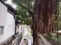 -乌山风景区
