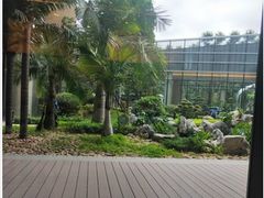 -融侨大酒店-榕苑自助餐厅