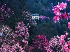 -九皇山景区
