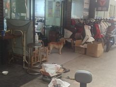 -雅迪电动车(北艾路店)