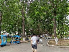 -丁香湖公园
