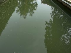 -青枫公园