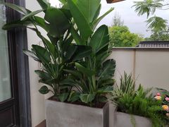 -成都院坝精品私汤民宿酒店