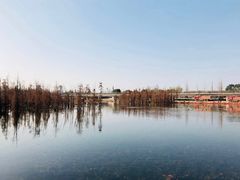 -白鹭湾湿地公园