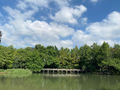 -新白鹿餐厅(龙游路店)