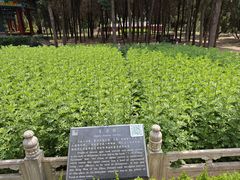-汤阴县羑里周易博物馆