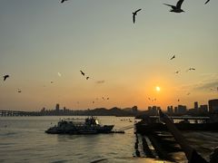 -星海广场