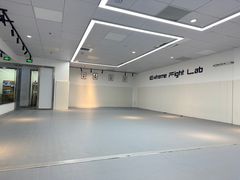 -EFL巴西柔术·综合格斗·泰拳·少儿体能训练(虹桥德必馆)