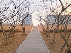 -元大都城垣遗址公园