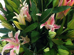 iphone_upload_pic-妃比花艺(光启城时尚购物中心店)
