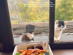 -素描餐厅(灵隐天竺店)