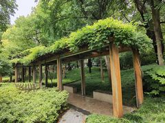 -徐家汇源景区-衡山公园